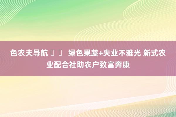 色农夫导航 		 绿色果蔬+失业不雅光 新式农业配合社助农户致富奔康