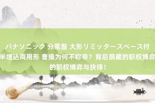 パナソニック 分電盤 大形リミッタースペース付 露出・半埋込両用形 曹操为何不称帝？背后荫藏的职权博弈与抉择！