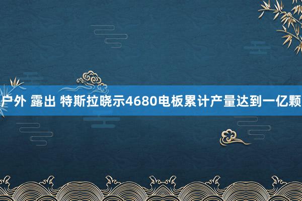 户外 露出 特斯拉晓示4680电板累计产量达到一亿颗