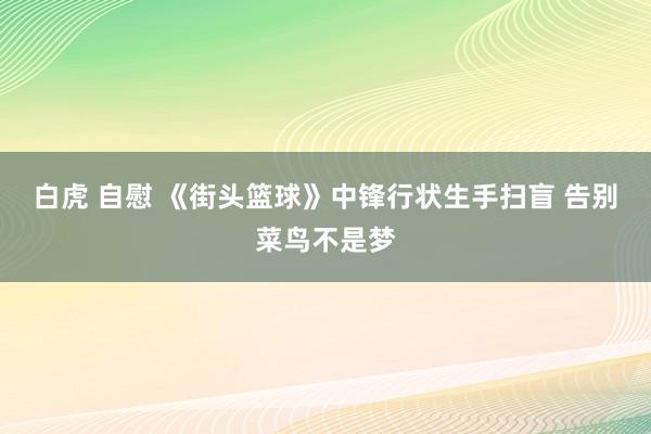 白虎 自慰 《街头篮球》中锋行状生手扫盲 告别菜鸟不是梦