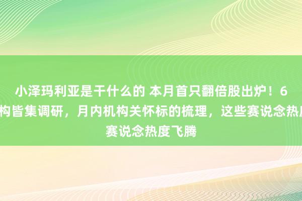 小泽玛利亚是干什么的 本月首只翻倍股出炉！66家机构皆集调研，月内机构关怀标的梳理，这些赛说念热度飞腾