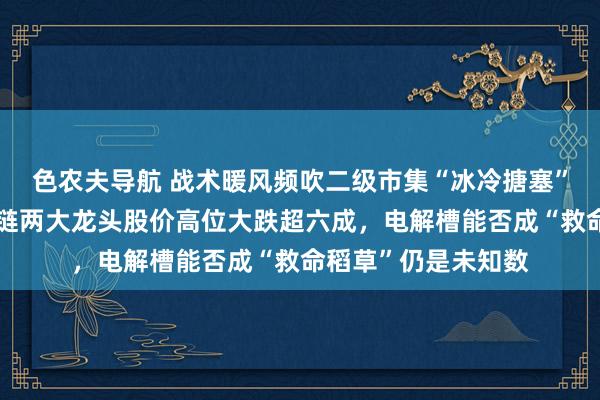 色农夫导航 战术暖风频吹二级市集“冰冷搪塞”！氢燃料电板产业链两大龙头股价高位大跌超六成，电解槽能否成“救命稻草”仍是未知数