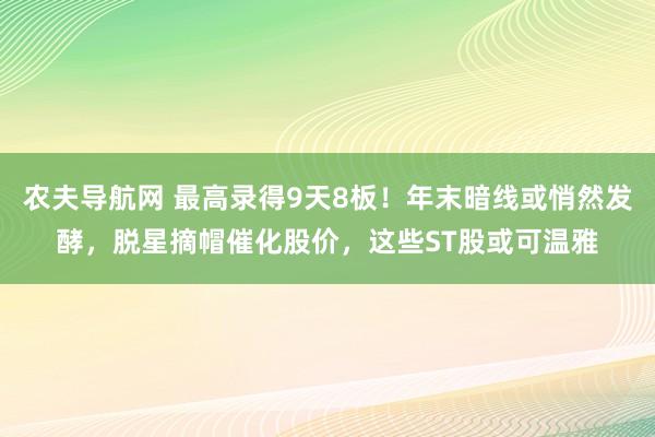 农夫导航网 最高录得9天8板！年末暗线或悄然发酵，脱星摘帽催化股价，这些ST股或可温雅