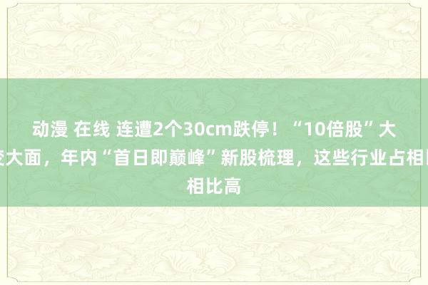 动漫 在线 连遭2个30cm跌停！“10倍股”大肉变大面，年内“首日即巅峰”新股梳理，这些行业占相比高