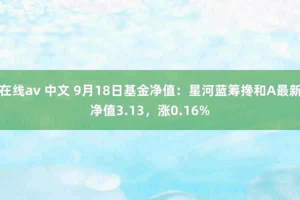 在线av 中文 9月18日基金净值：星河蓝筹搀和A最新净值3.13，涨0.16%