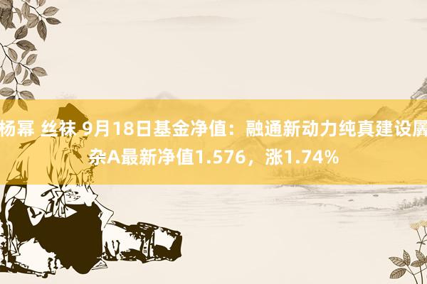 杨幂 丝袜 9月18日基金净值：融通新动力纯真建设羼杂A最新净值1.576，涨1.74%