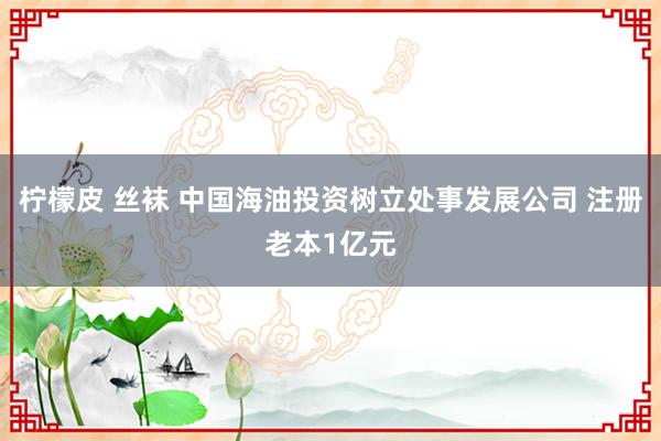 柠檬皮 丝袜 中国海油投资树立处事发展公司 注册老本1亿元