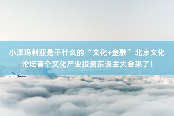 小泽玛利亚是干什么的 “文化+金融” 北京文化论坛首个文化产业投资东谈主大会来了！