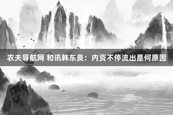 农夫导航网 和讯韩东良：内资不停流出是何原因