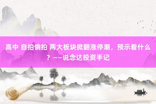 高中 自拍偷拍 两大板块掀翻涨停潮，预示着什么？——说念达投资手记