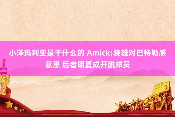 小泽玛利亚是干什么的 Amick:骁雄对巴特勒感意思 后者明夏成开脱球员