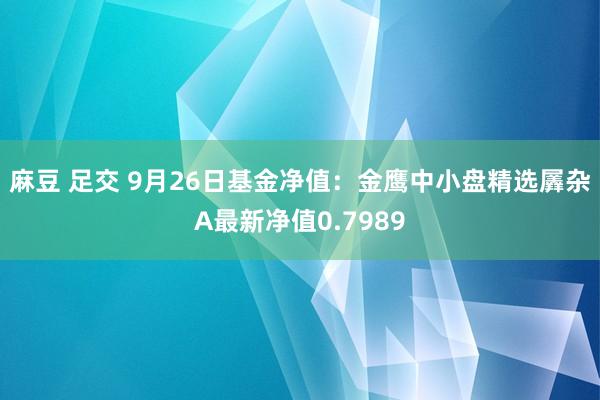 麻豆 足交 9月26日基金净值：金鹰中小盘精选羼杂A最新净值0.7989