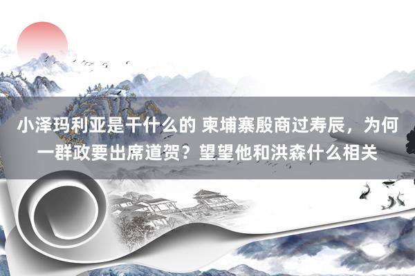 小泽玛利亚是干什么的 柬埔寨殷商过寿辰，为何一群政要出席道贺？望望他和洪森什么相关