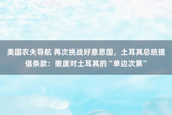 美国农夫导航 再次挑战好意思国，土耳其总统提倡条款：撤废对土耳其的“单边次第”