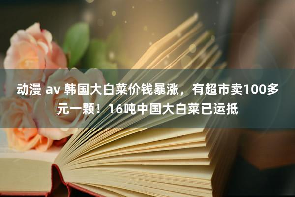 动漫 av 韩国大白菜价钱暴涨，有超市卖100多元一颗！16吨中国大白菜已运抵