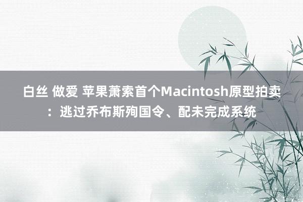 白丝 做爱 苹果萧索首个Macintosh原型拍卖：逃过乔布斯殉国令、配未完成系统