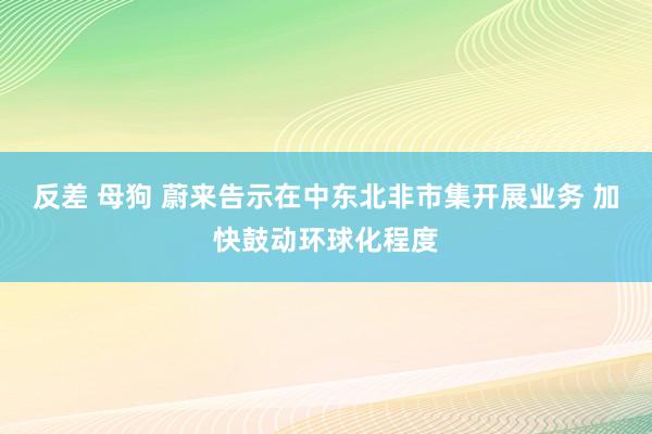 反差 母狗 蔚来告示在中东北非市集开展业务 加快鼓动环球化程度