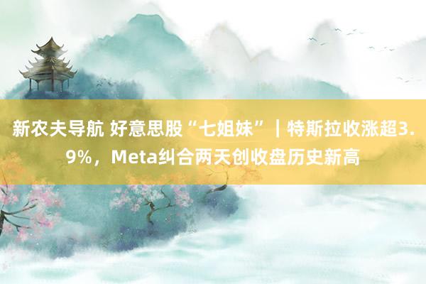 新农夫导航 好意思股“七姐妹”｜特斯拉收涨超3.9%，Meta纠合两天创收盘历史新高