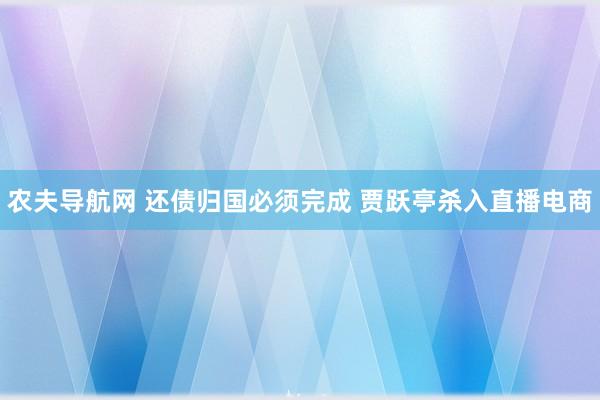 农夫导航网 还债归国必须完成 贾跃亭杀入直播电商