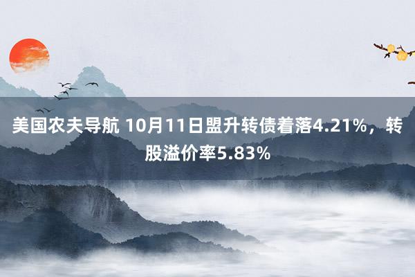 美国农夫导航 10月11日盟升转债着落4.21%，转股溢价率5.83%