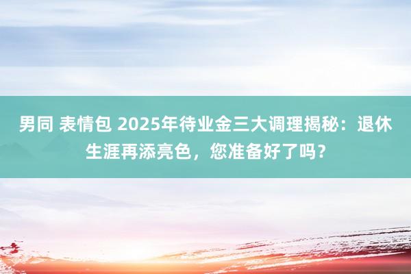 男同 表情包 2025年待业金三大调理揭秘：退休生涯再添亮色，您准备好了吗？