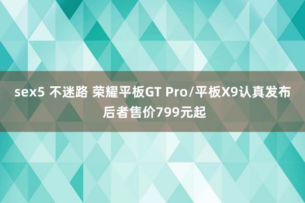 sex5 不迷路 荣耀平板GT Pro/平板X9认真发布 后者售价799元起