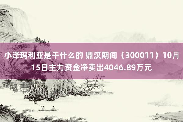 小泽玛利亚是干什么的 鼎汉期间（300011）10月15日主力资金净卖出4046.89万元