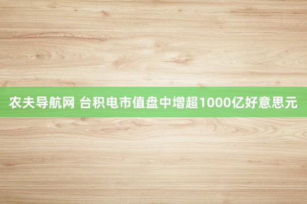 农夫导航网 台积电市值盘中增超1000亿好意思元