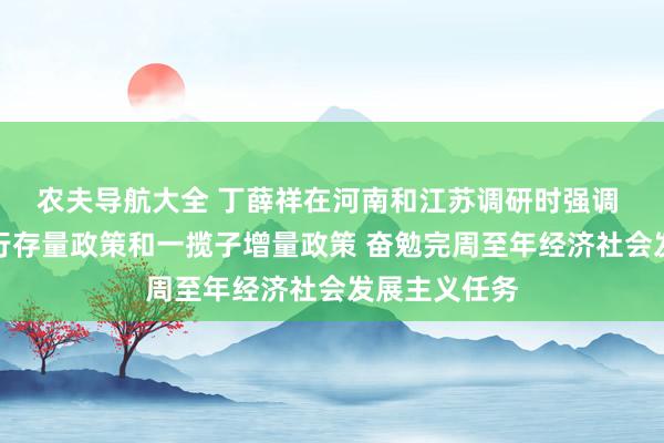 农夫导航大全 丁薛祥在河南和江苏调研时强调 加力提效推行存量政策和一揽子增量政策 奋勉完周至年经济社会发展主义任务