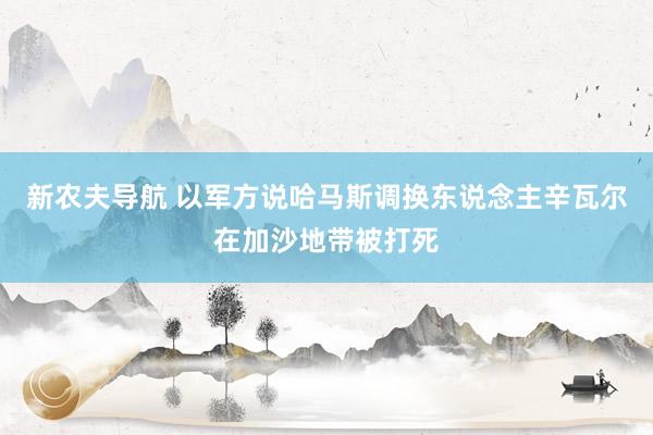 新农夫导航 以军方说哈马斯调换东说念主辛瓦尔在加沙地带被打死