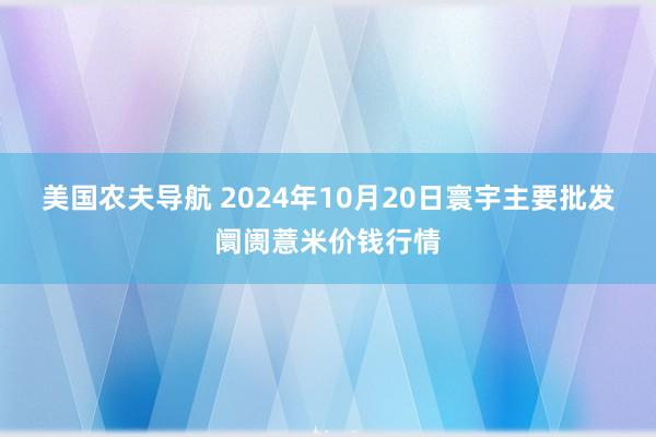 美国农夫导航 2024年10月20日寰宇主要批发阛阓薏米价钱行情