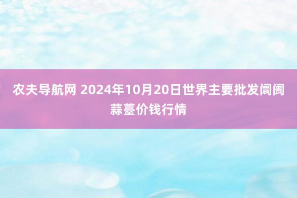 农夫导航网 2024年10月20日世界主要批发阛阓蒜薹价钱行情