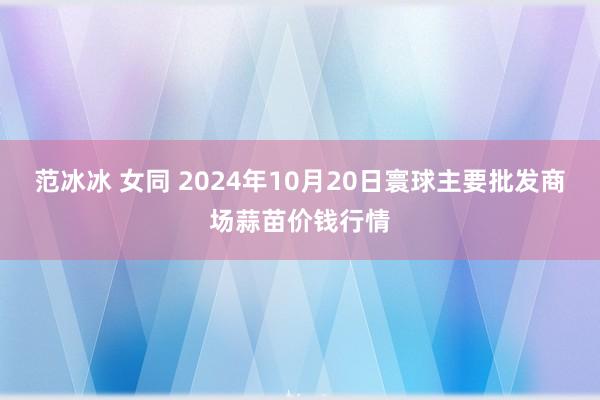 范冰冰 女同 2024年10月20日寰球主要批发商场蒜苗价钱行情