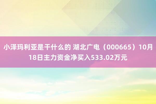 小泽玛利亚是干什么的 湖北广电（000665）10月18日主力资金净买入533.02万元