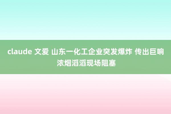 claude 文爱 山东一化工企业突发爆炸 传出巨响 浓烟滔滔现场阻塞