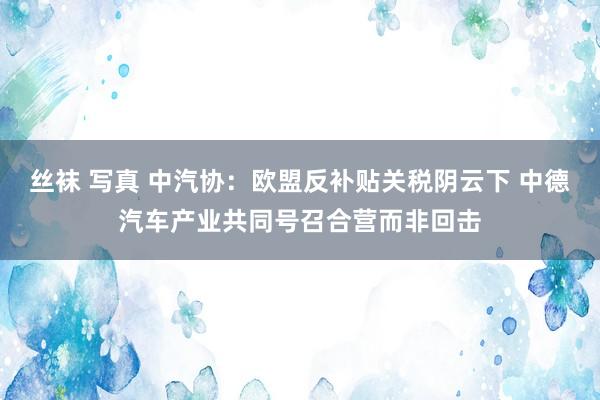 丝袜 写真 中汽协：欧盟反补贴关税阴云下 中德汽车产业共同号召合营而非回击