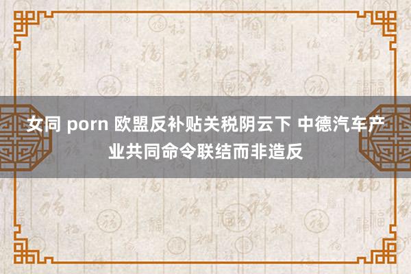 女同 porn 欧盟反补贴关税阴云下 中德汽车产业共同命令联结而非造反