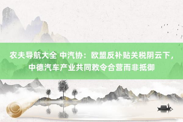 农夫导航大全 中汽协：欧盟反补贴关税阴云下，中德汽车产业共同敕令合营而非抵御