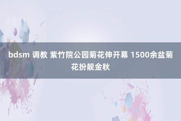 bdsm 调教 紫竹院公园菊花伸开幕 1500余盆菊花扮靓金秋