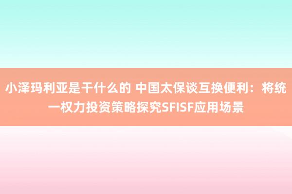 小泽玛利亚是干什么的 中国太保谈互换便利：将统一权力投资策略探究SFISF应用场景