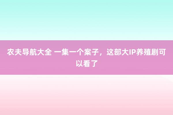 农夫导航大全 一集一个案子，这部大IP养殖剧可以看了