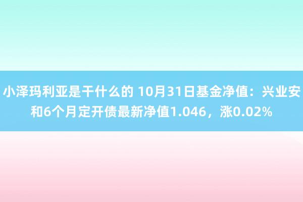 小泽玛利亚是干什么的 10月31日基金净值：兴业安和6个月定开债最新净值1.046，涨0.02%