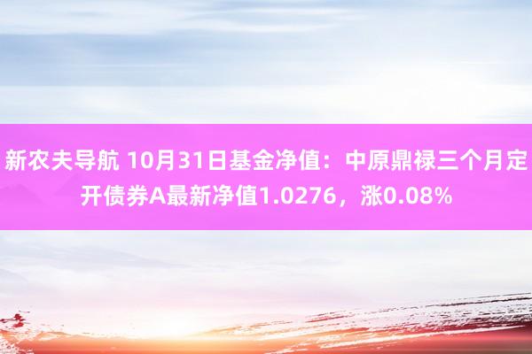 新农夫导航 10月31日基金净值：中原鼎禄三个月定开债券A最新净值1.0276，涨0.08%