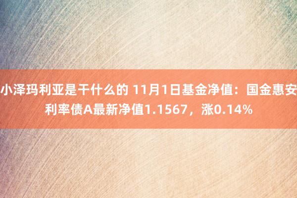 小泽玛利亚是干什么的 11月1日基金净值：国金惠安利率债A最新净值1.1567，涨0.14%