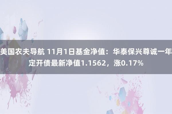 美国农夫导航 11月1日基金净值：华泰保兴尊诚一年定开债最新净值1.1562，涨0.17%