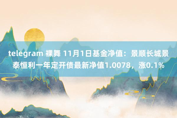 telegram 裸舞 11月1日基金净值：景顺长城景泰恒利一年定开债最新净值1.0078，涨0.1%