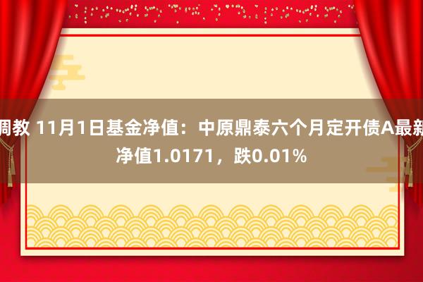 调教 11月1日基金净值：中原鼎泰六个月定开债A最新净值1.0171，跌0.01%