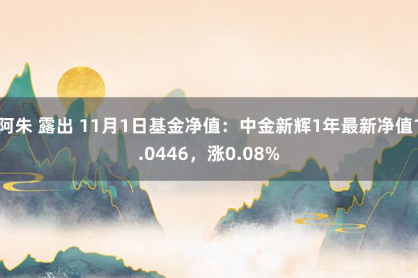 阿朱 露出 11月1日基金净值：中金新辉1年最新净值1.0446，涨0.08%