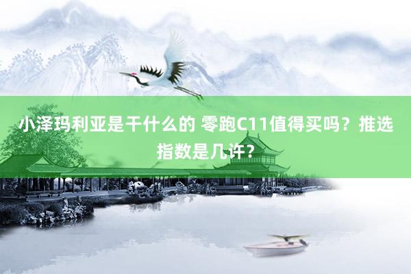 小泽玛利亚是干什么的 零跑C11值得买吗？推选指数是几许？