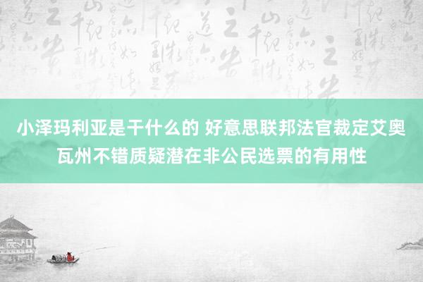 小泽玛利亚是干什么的 好意思联邦法官裁定艾奥瓦州不错质疑潜在非公民选票的有用性